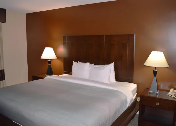 Quality O'hare Airport Mini-hôtel 3*