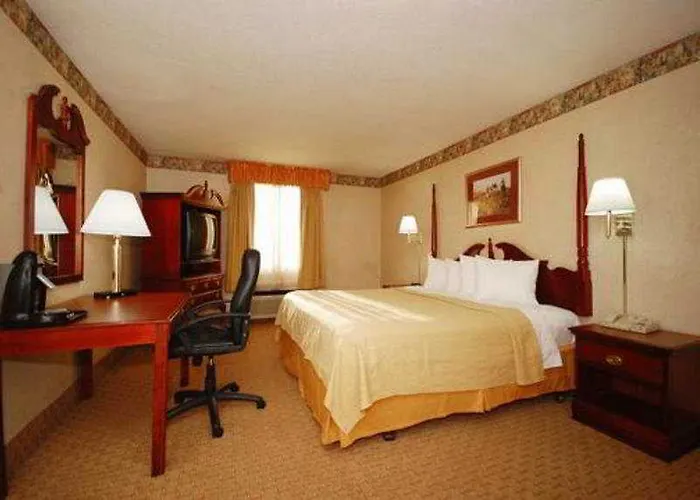 Quality O'hare Airport Mini-hôtel 3*